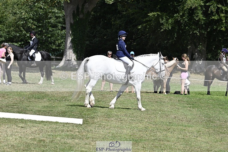 250822A-123115-21795 - DR 12.00 to End