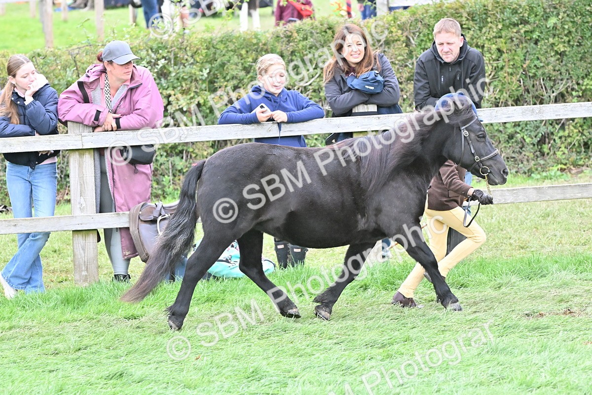 SBM_66799 - S41 - Junior Handler 8 Years & Under