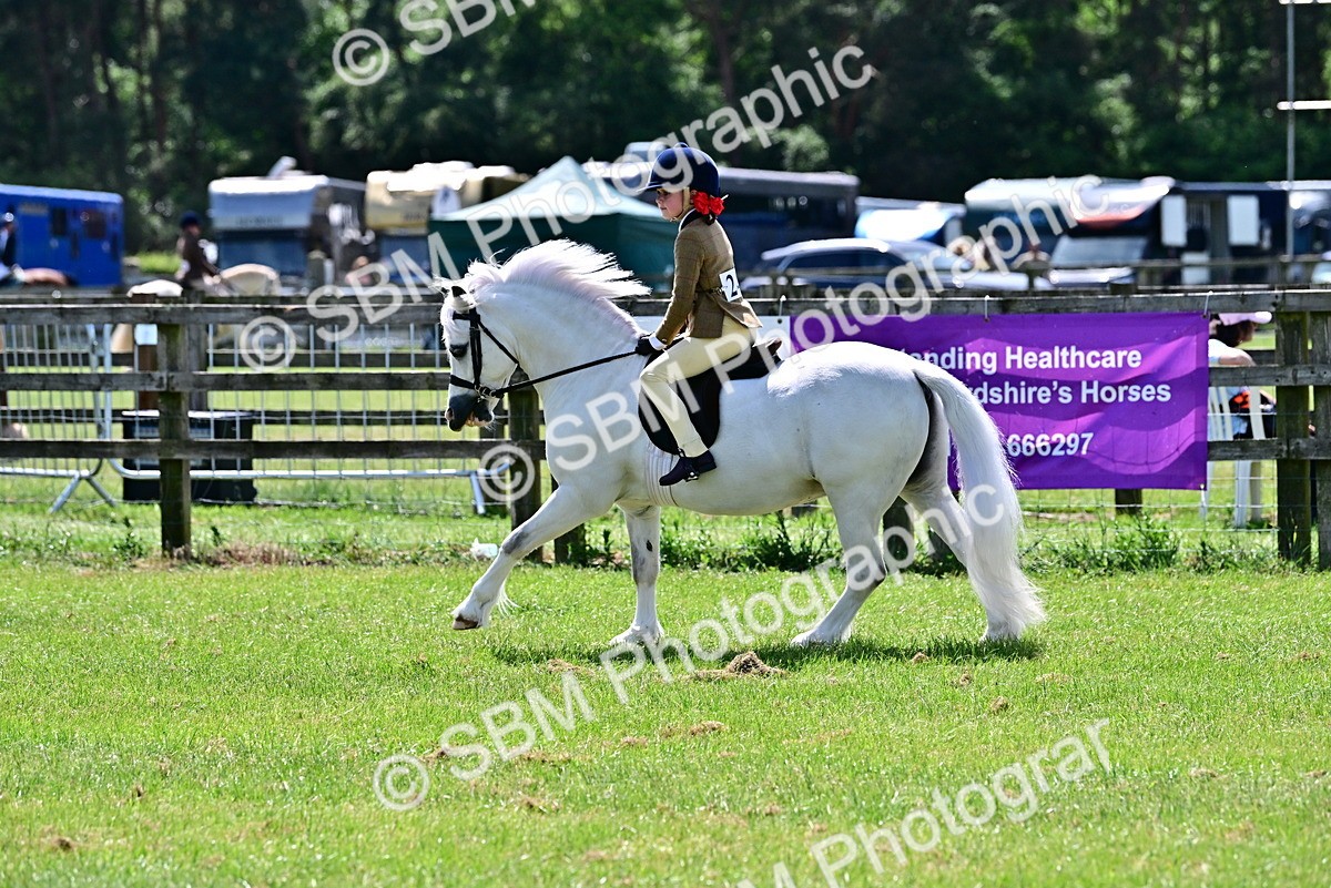 SBM_06078 - Class 59-60 - TSR M&M  Lear Rein and First Ridden Amateur of the year