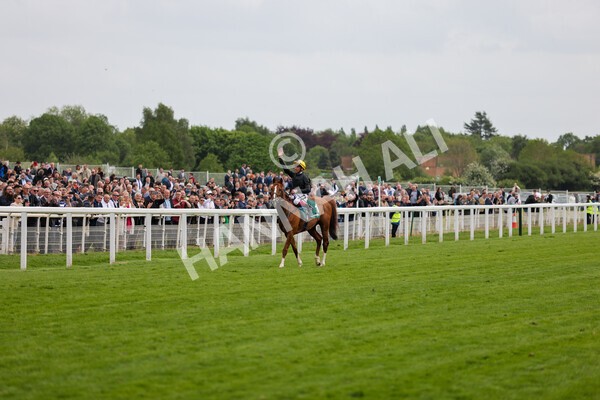 yr13052022r4-68 - Race 4 3.35pm The Paddy Power Yorkshire Cup (British Champions Series Race)