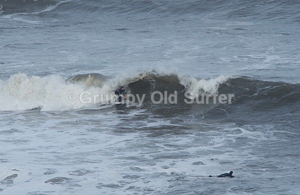 DSC_4561 - Cayton Point 30th October 2017