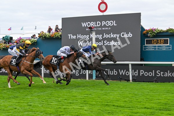 200825-Race 1-Trefor-1108 - Race 1 1.50pm Hong Kong Jockey Club World Pool Handicap