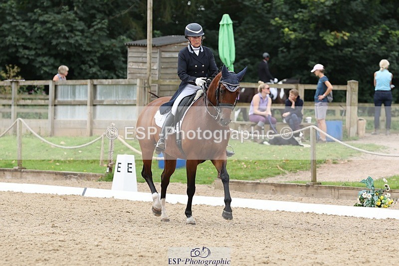 240810-151623-03951 - 231-Louise.Hutchinson-Donnarella