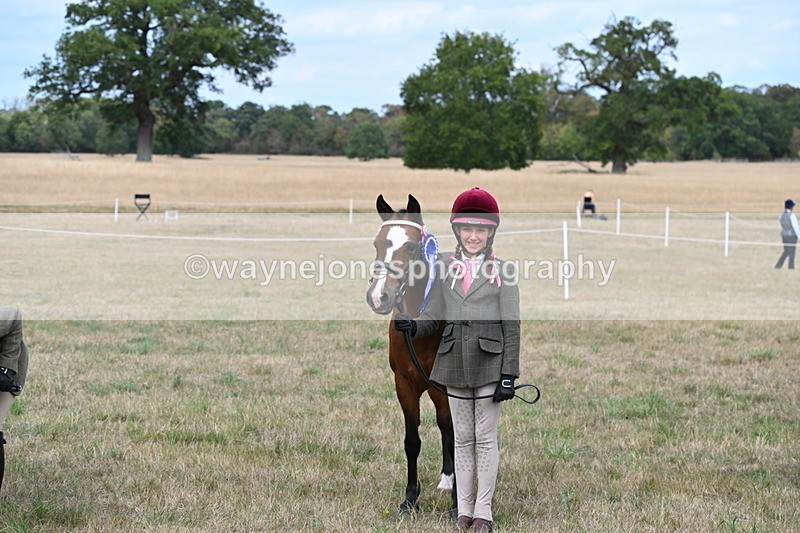 WJ6_6295 - Class 19 In-hand Veterans (Uploaded correct folder)