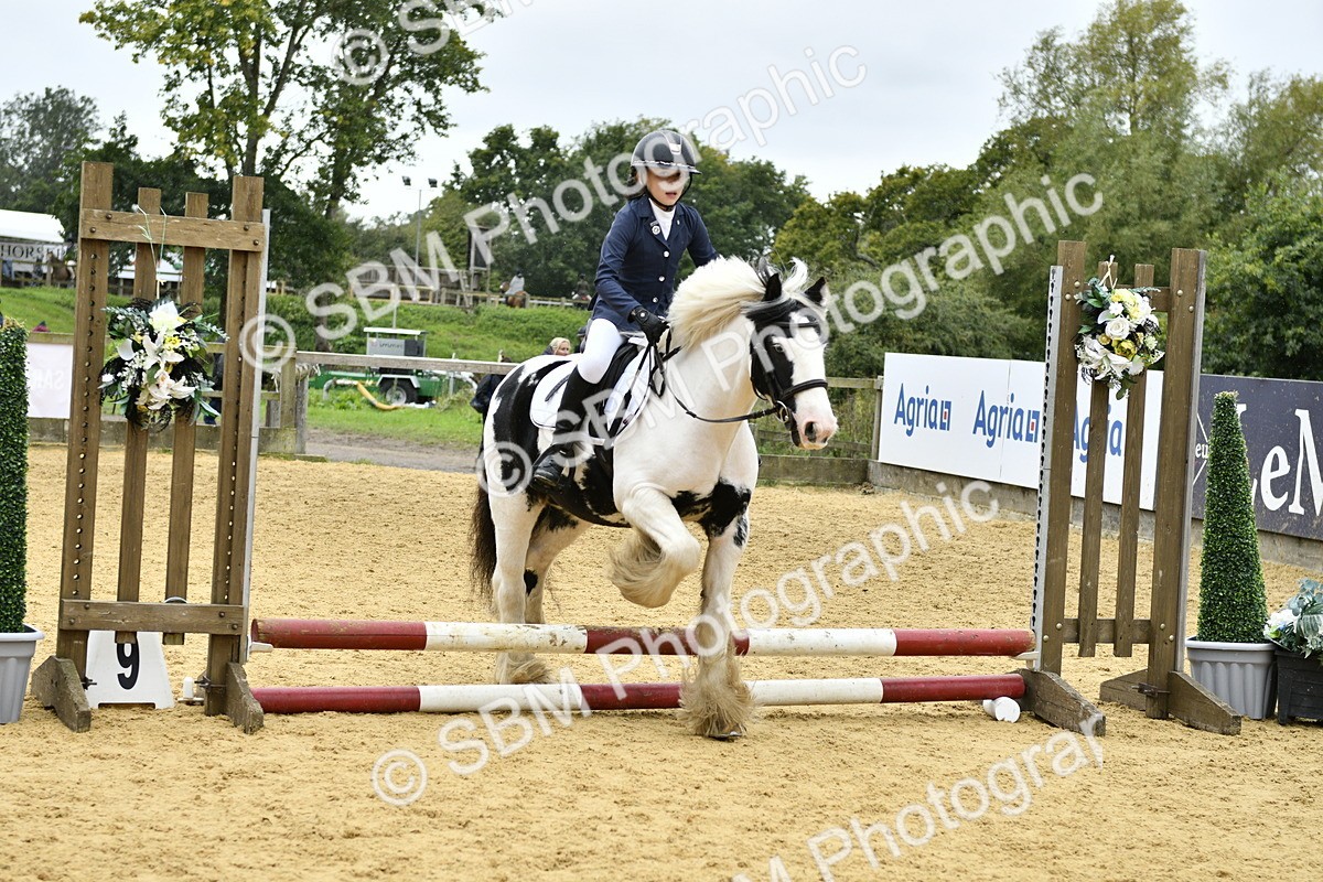 SBM_68452 - J2b - Mini Tour Junior Pony 30cm championship