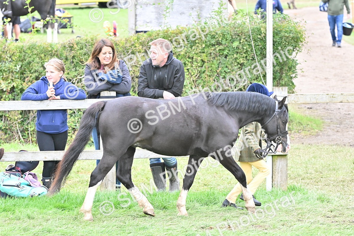 SBM_66774 - S41 - Junior Handler 8 Years & Under