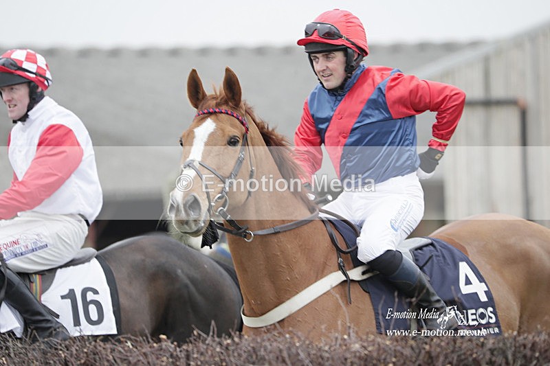 PtP 050323 808 - Blackmore & Sparkford Vale Hunt PtP - Somerset 05/03/23