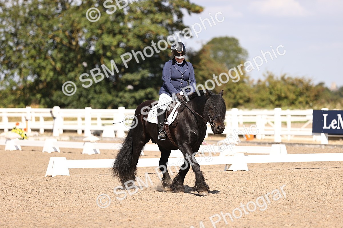 SBM_03520 - CLass 35 Intro 3