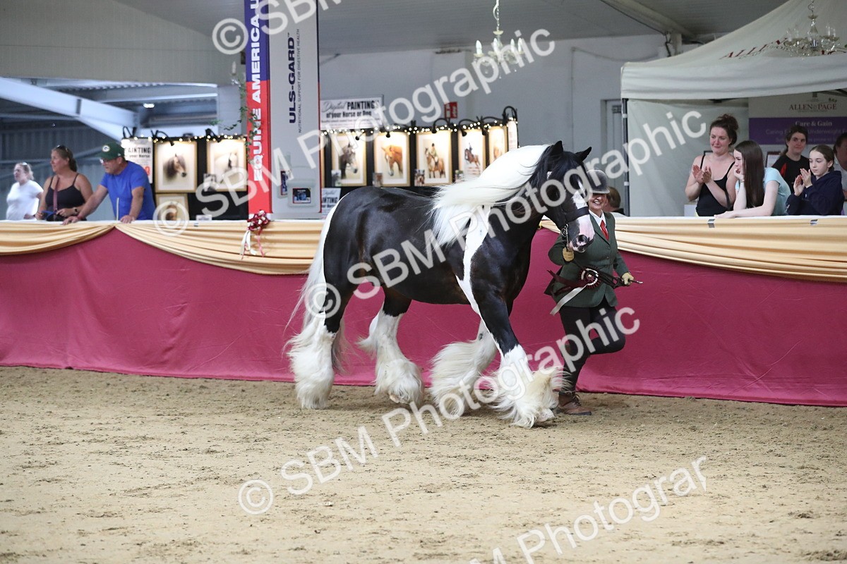 SBM_06487 - Class 9R Regional- IH Pre Vet