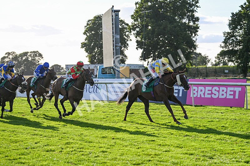 160824-Race 4-Jamih-9339 - Race 4