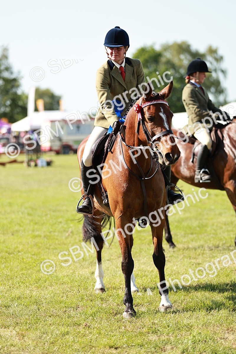 SBM_18948 - Class 114 - RIHS & SEIB Open Working Show Horse