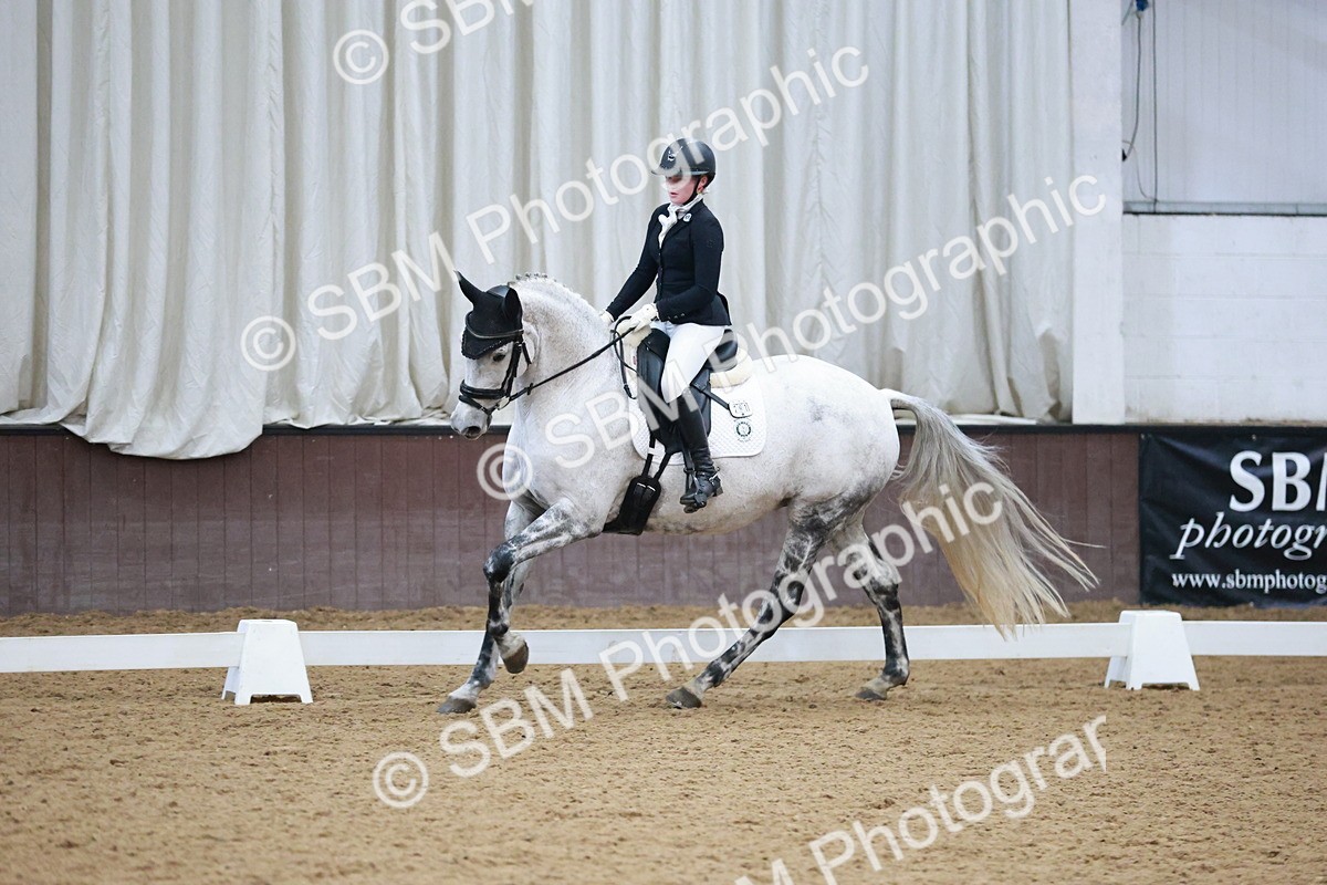 SBM_004534 - Ring 3 - International -  Working Hunter Classes 23-2-25