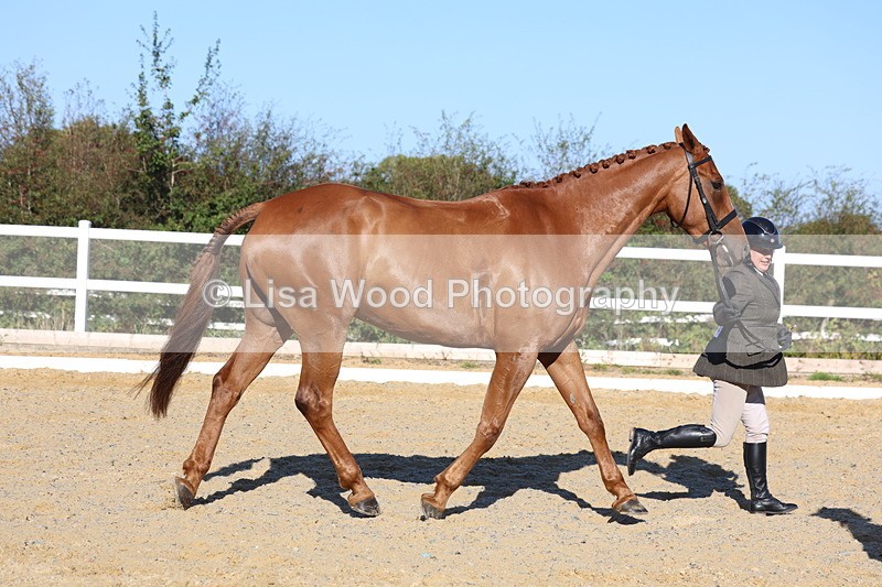 3E7A5226 - Class 7: Novice Ridden Hunter/Hack/RH/Cob