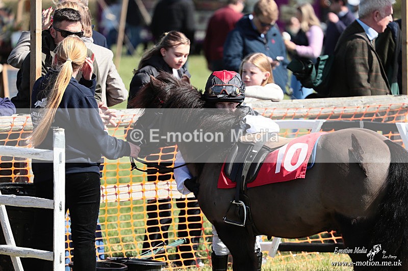Shet 060426 393 - Shetland Pony Racing Paxford Races Easter Mon 06/04/26