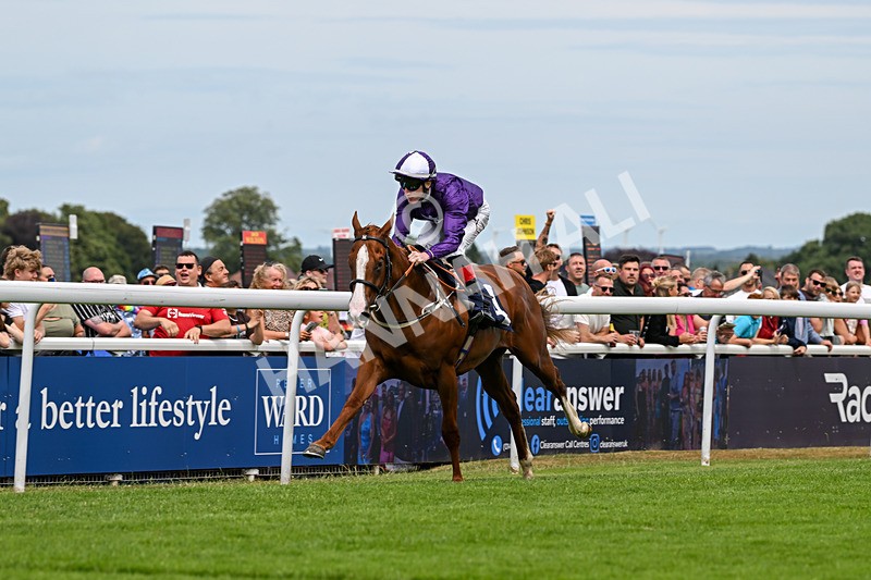 050725-Race 1-Vincenzo Peruggia-6977 - Race 1