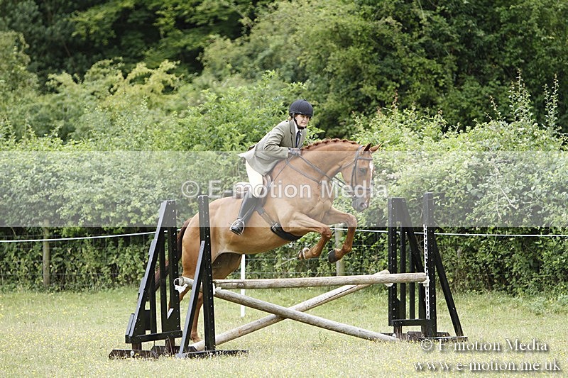 BVR160717-1705 - Ring 3 BVRC Show 16/07/17