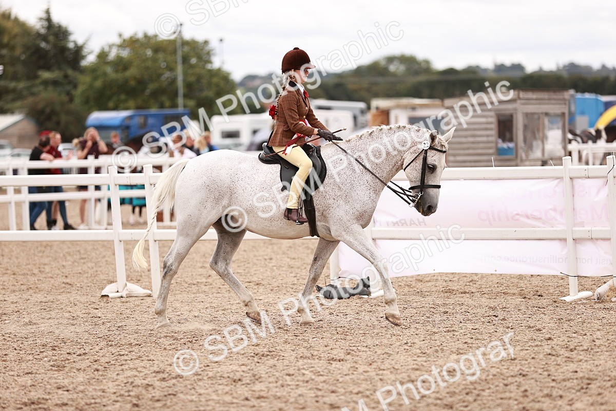 SBM_18635 - Class 421 - Childs Best Friend - Jnr