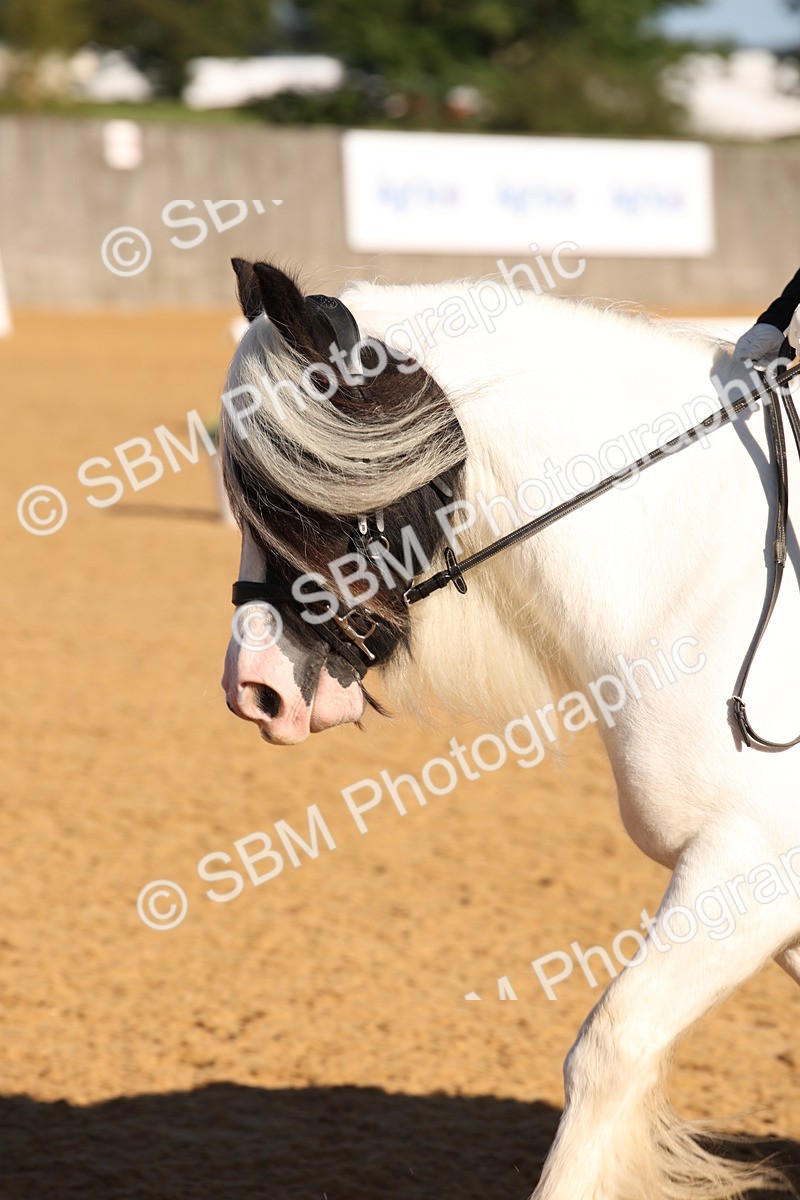 SBM_01862 - D2 Small Tour Championship Intro C