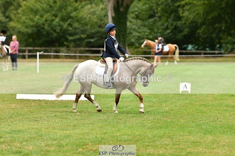 250820A-111750-04989 - 11am to 12