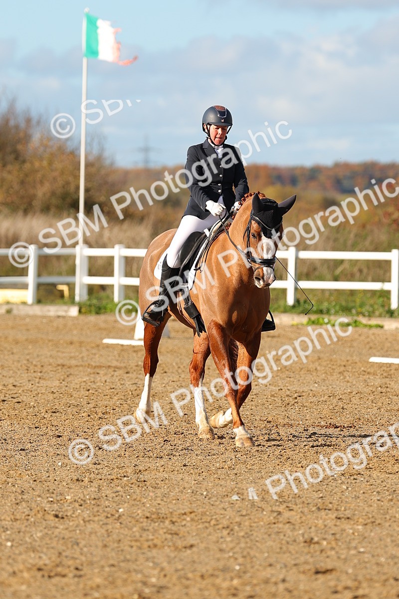 SBM_001431 - Medium 3