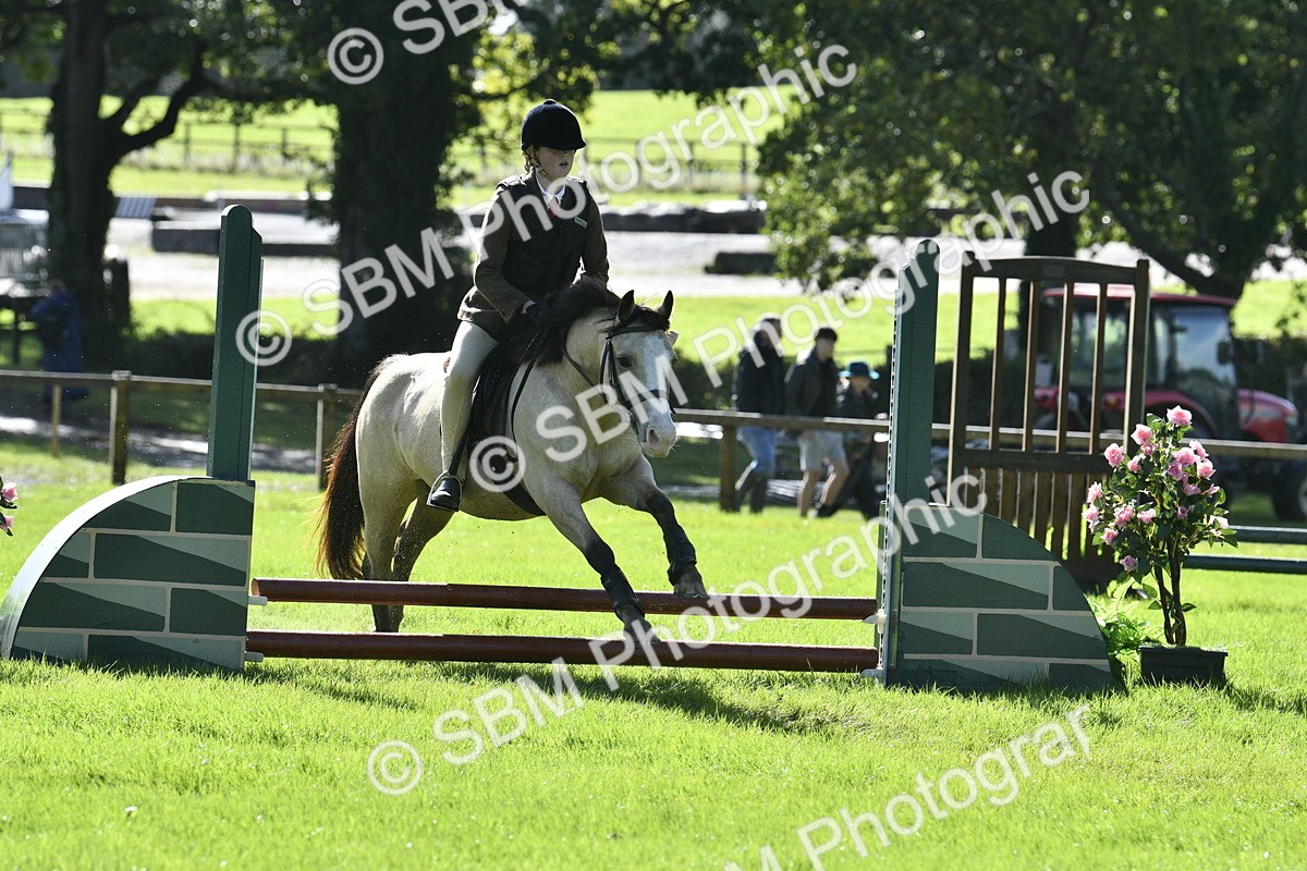 SBM_38196 - S31 - Novice & Newcomer Working Hunter Pony