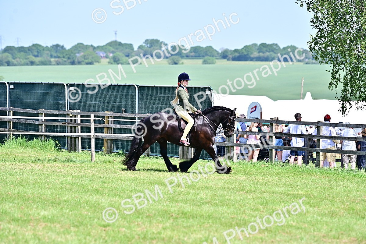 SBM_13994 - Class 95-97 - BSPS LHS Performance Ponies