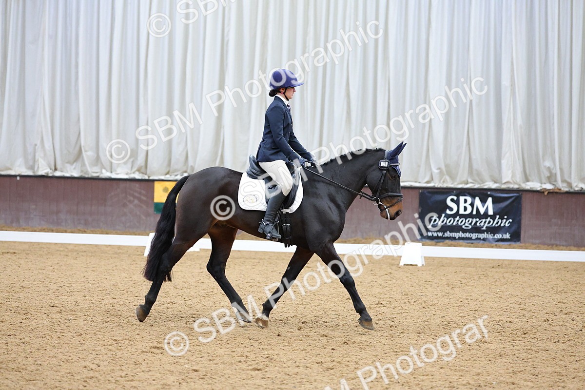 SBM_003105 - Novice