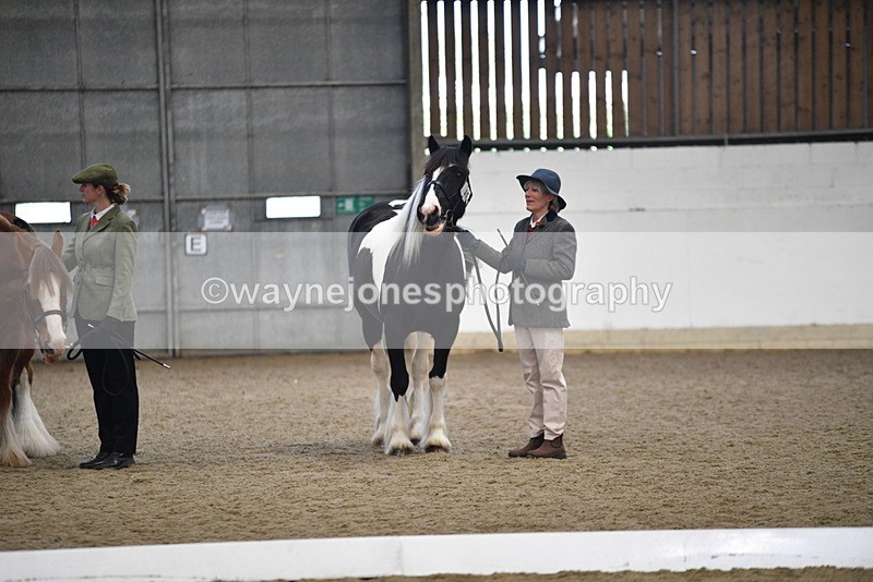 WJ5_5578 - Class 4 In hand M&M - small breeds