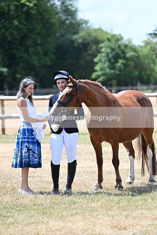 WJ7_2059 - Class 4a Prettiest Mare 14.2hh and over hand