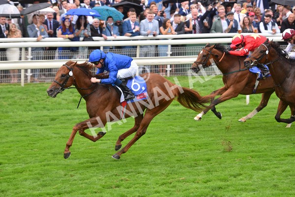 yr21082021r3-21 - Race 3 3.00pm Sky Bet City of York Stakes