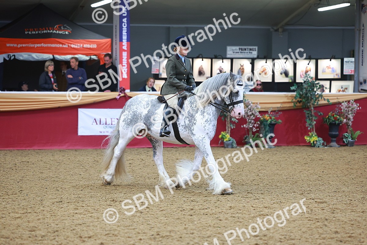 SBM_12599 - Class 103 - HOYS Veteran Qualifier - Ridden Pre Vet
