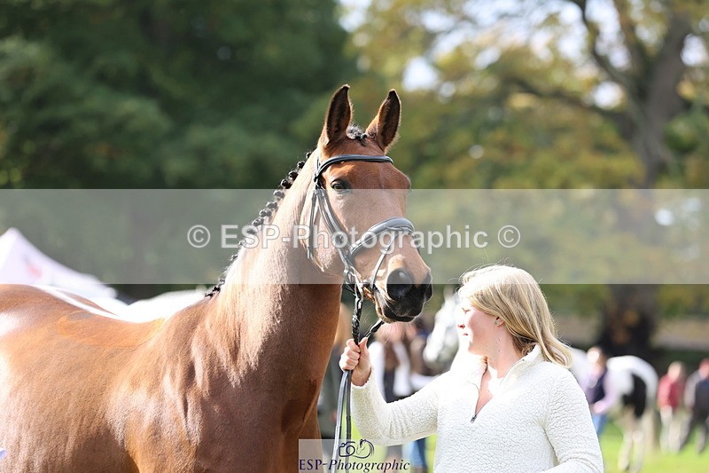 251026A-120451-25871 - G-506-Felicity.Egan
