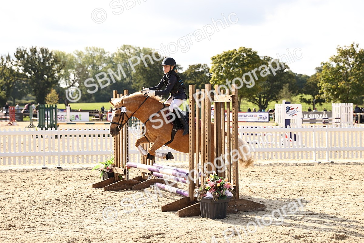 SBM_62079 - J12 - Junior Pony 55cm Championship