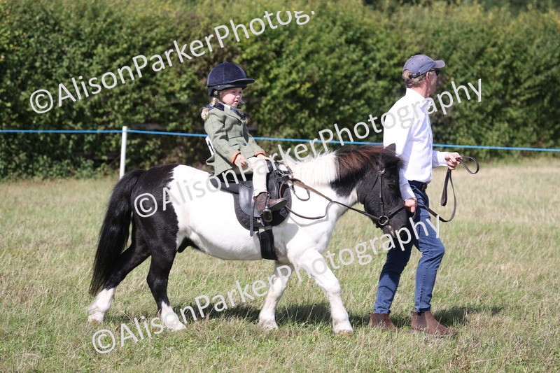 20260906-2754 - Class 25 - Absolute Beginners Pony