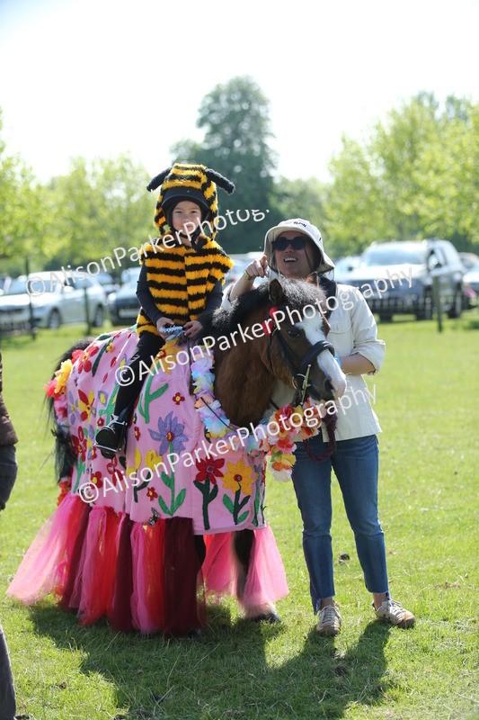 20250427-1874 - Class 5 - Fancy Dress