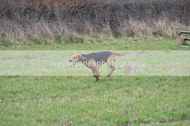 WJ7_7931 - A Camera