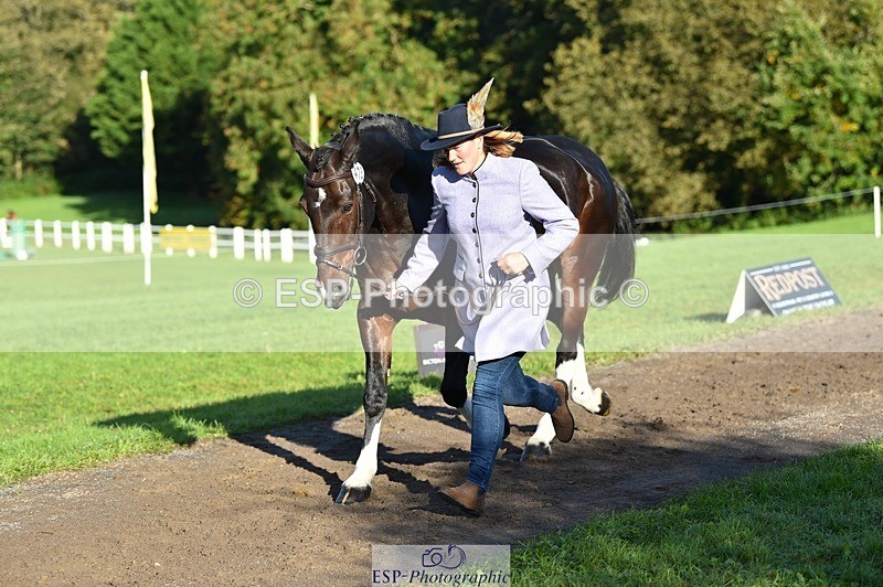 231022-100118-22186 - 475-ANDY.MAC-Hannah.COLMER-TrotUp+SJ