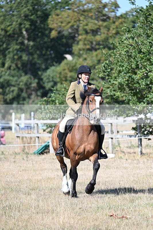 WJ7_3763 - Class 9 Mountain & Moorland Ridden