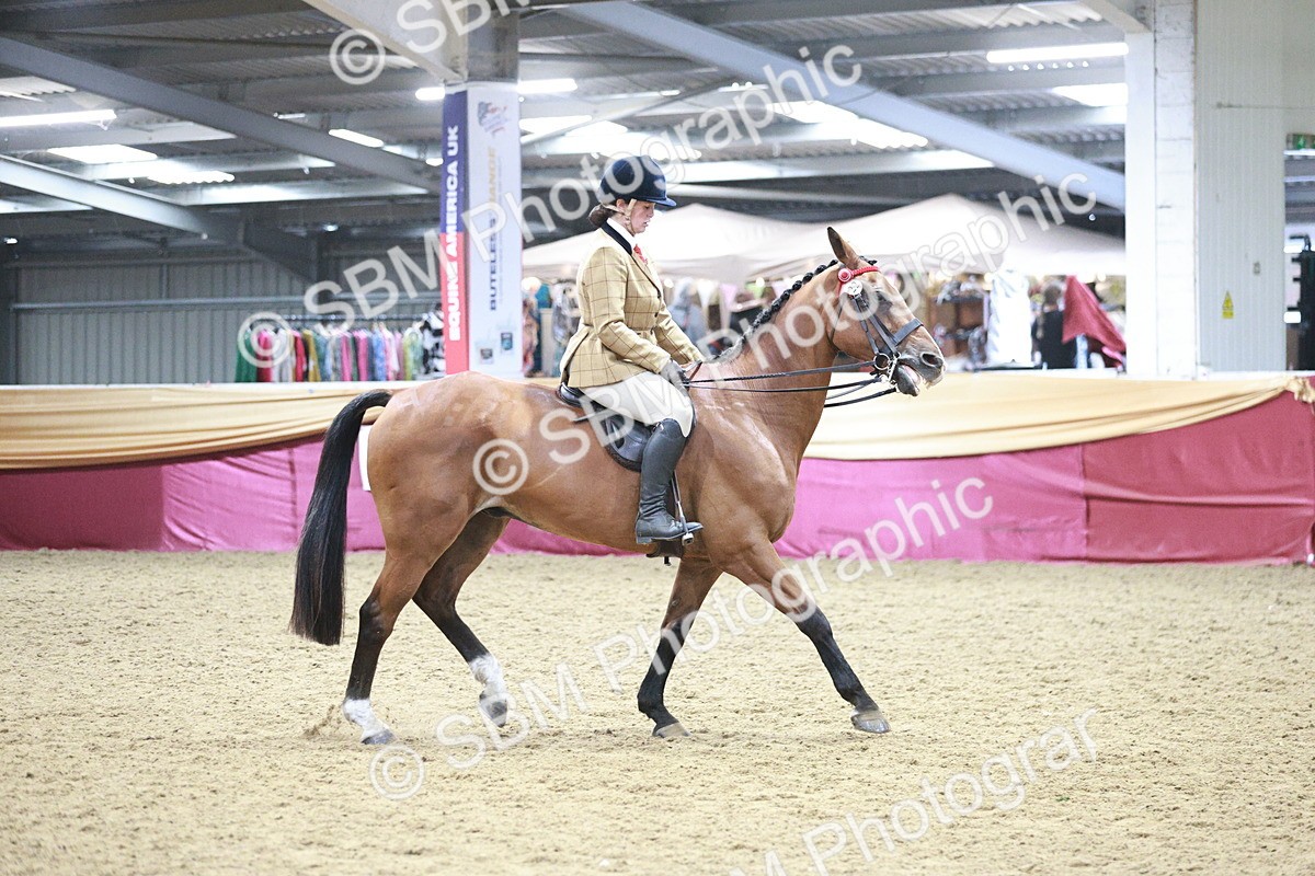 SBM_08182 - Class 11R - Regional Ridden Veteran