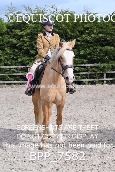 BPP_7582 - RING 1  (RIDDEN HORSES / IN HAND / VETERAN ETC)