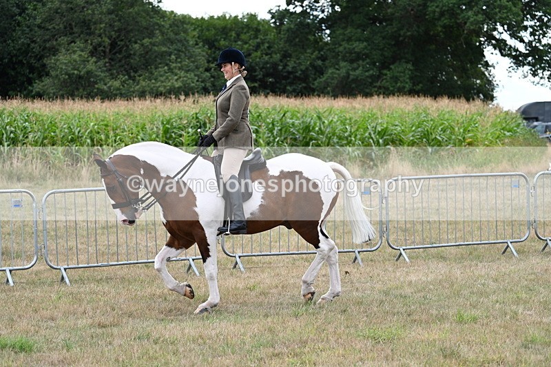 WJ7_5009 - Class 12 Ridden Cob
