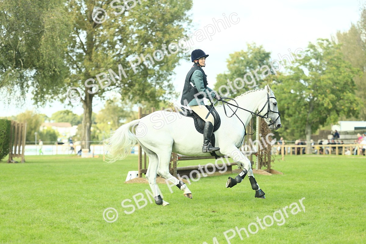 SBM_50606 - S33 - Working Hunter & Working Show Horse