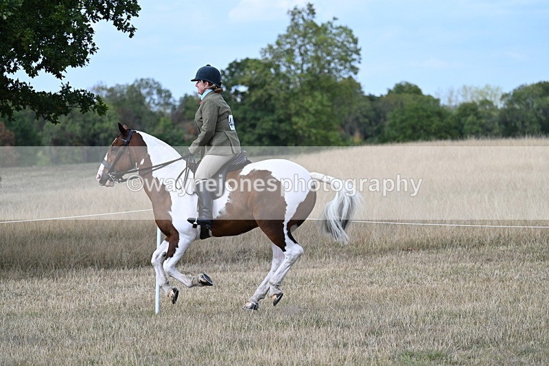 WJ7_7303 - Class 14 Ridden Coloured