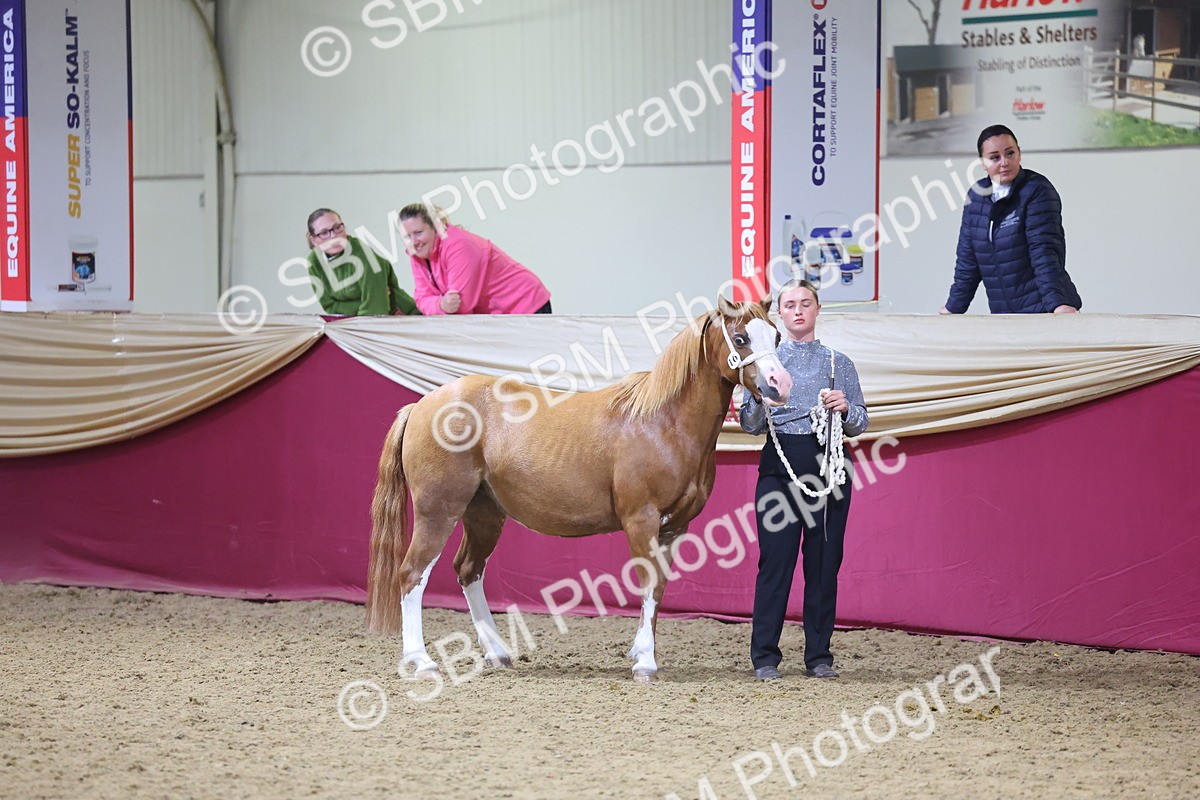 SBM_18858 - Class F Grass Roots Champ