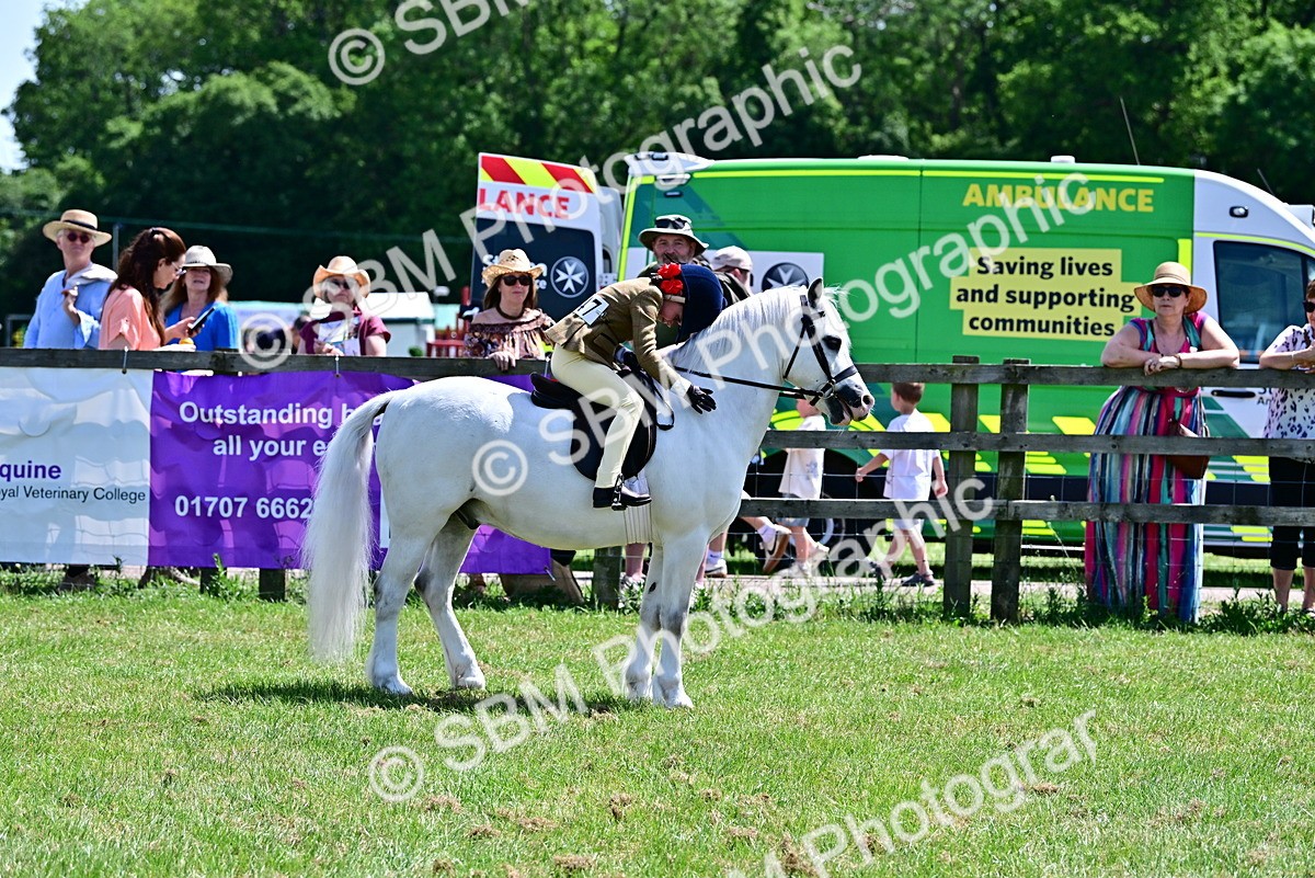 SBM_06092 - Class 59-60 - TSR M&M  Lear Rein and First Ridden Amateur of the year