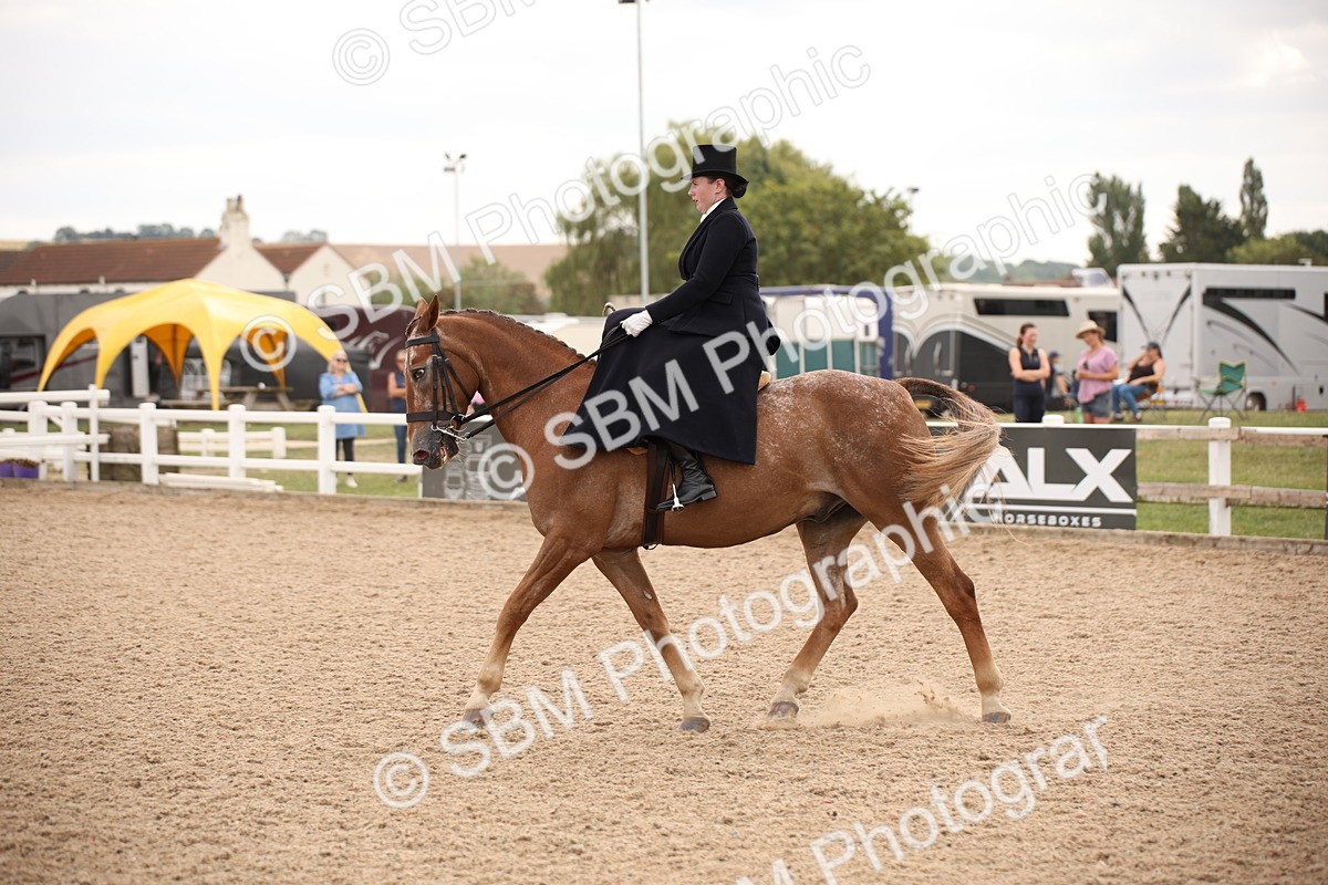 SBM_05372 - Class 22 SSA Equitation