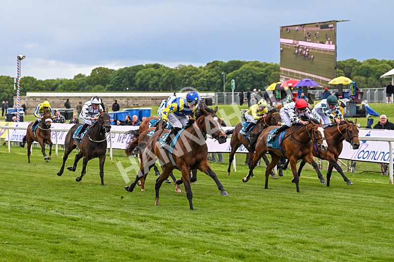 130526-Race 6-Startled-3434 - Race 6 4.40pm Conundrum HR Consulting Handicap