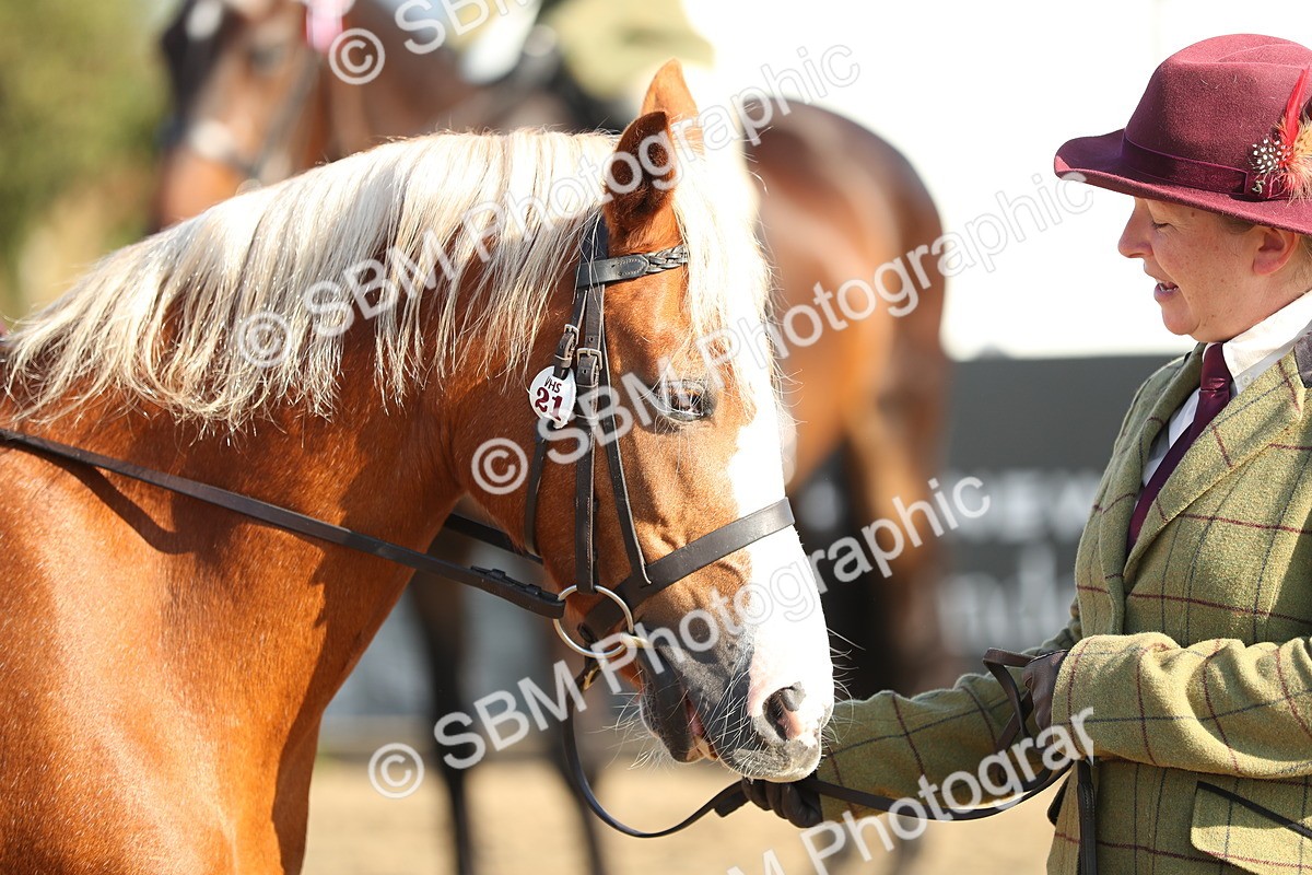 SBM_00396 - Class 41 Best Turned Out Ridden