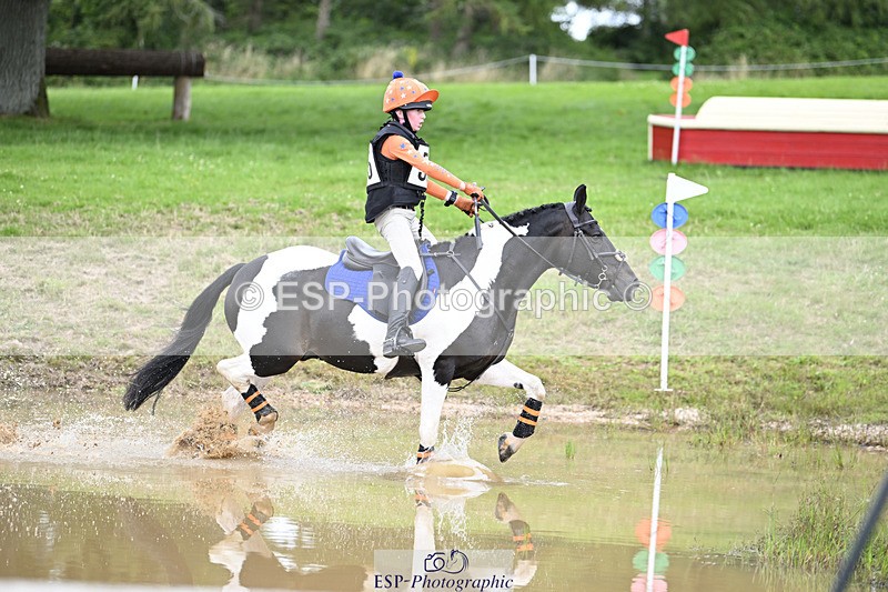 240804-144430-15445 - 555-Jack_Wish-WESTERLAKE_BUTTONWEED