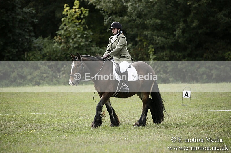 BVR080918 101 - BVRC Novice Dressage & CR 08/09/18